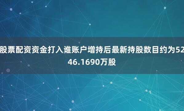 股票配资资金打入谁账户增持后最新持股数目约为5246.1690万股