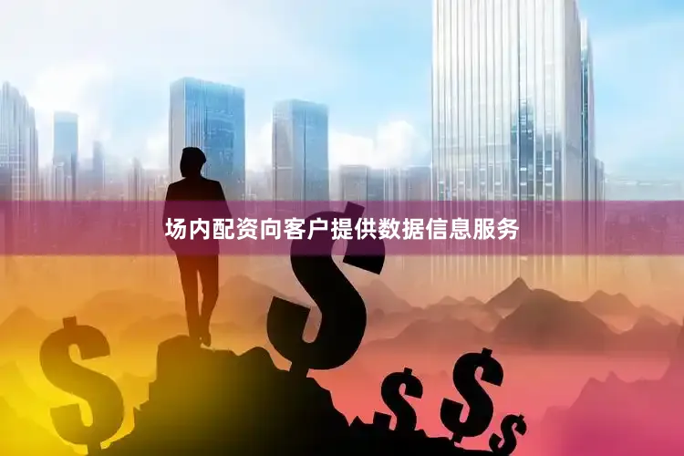 场内配资向客户提供数据信息服务