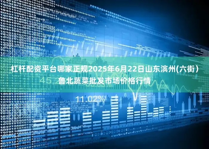 杠杆配资平台哪家正规2025年6月22日山东滨州(六街）鲁北蔬菜批发市场价格行情